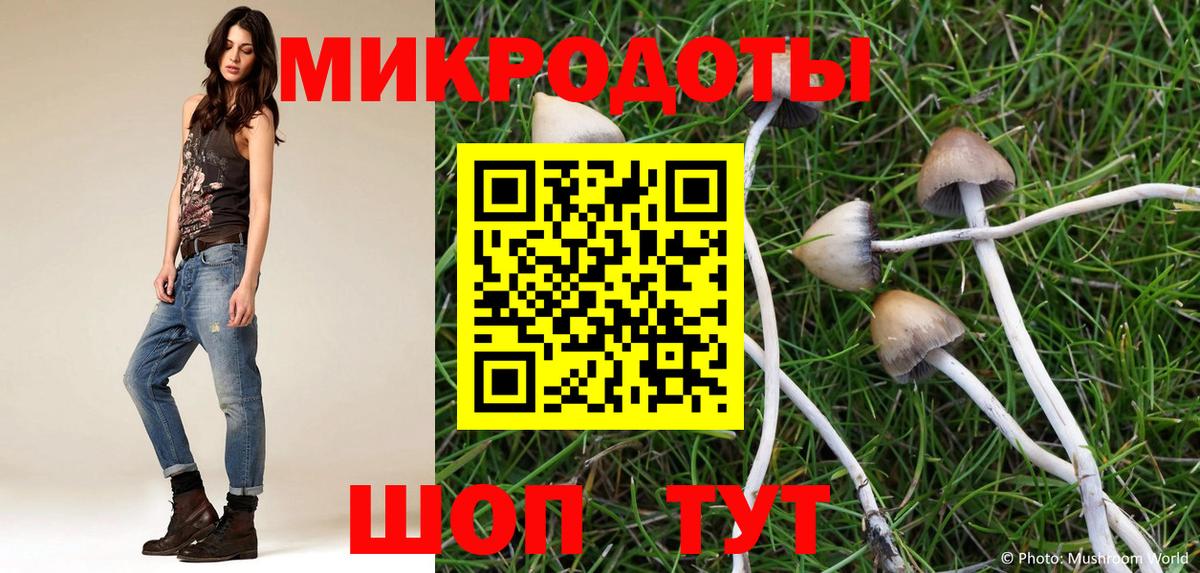 Бор  Галлюциногенные грибы Psilocybe  Вход с VPN 